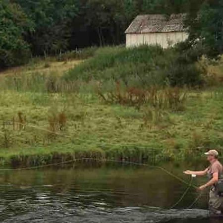 Lovely Peaceful 2 Bed Cottage Llandderfel المظهر الخارجي الصورة