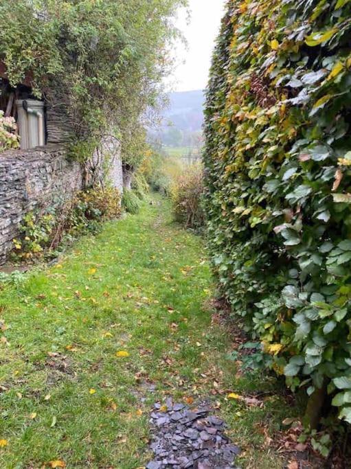 Lovely Peaceful 2 Bed Cottage Llandderfel المظهر الخارجي الصورة